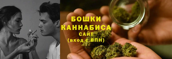 бутират Белокуриха