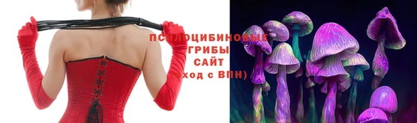 бутират Белокуриха