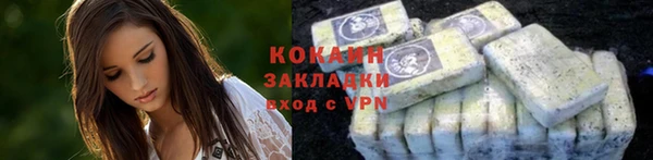 кокс Богородицк