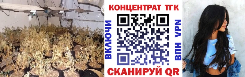 ТГК THC oil  МЕГА как войти  Волосово 