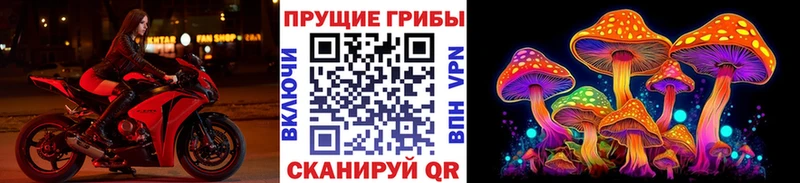 гидра   где можно купить наркотик  Волосово  Галлюциногенные грибы прущие грибы 